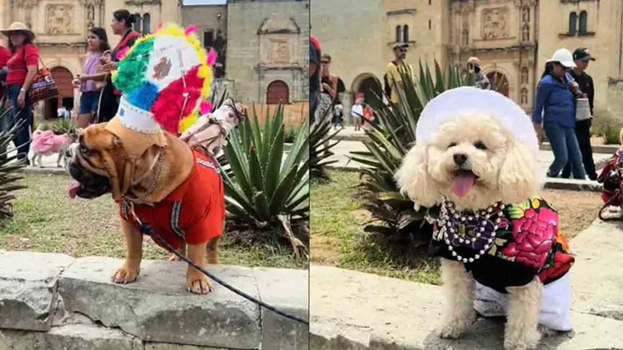 Responsive image