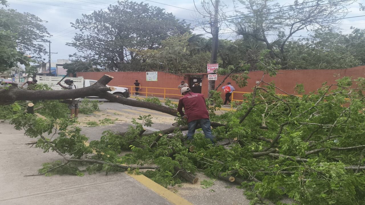 Responsive image